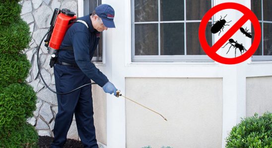 Keçiborlu Böcek ve Haşere İlaçlama böcek ilaçlama ve haşere kontrolü — ilaclama-tr.com